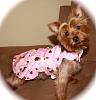 Lily is 1 year old today!!-lily-dress.jpg