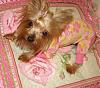 Chloe looking all cute and ready for bed-chloe96.jpg