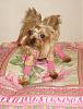 Chloe looking all cute and ready for bed-chloe961.jpg