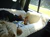 Carseat pics-007.jpg