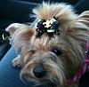 Darcy--ready for Monday Night Football--WHO DAT!-358.jpg