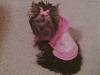 My princess in pink-sophie-pink.jpg