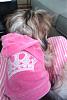 Princess in her new Pink Velour Hoodie-princess-2.jpg