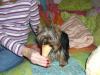 We love ice cream!-cali010606-006-600-x-450-.jpg