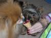 We love ice cream!-cali010606-008-600-x-450-.jpg