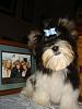 Does your baby wear a bow? : )-cabo-009.jpg