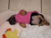 Post Your Cute Sleeping Pictures Here !-cnv0193.jpg