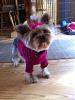 Some more of Bella Marie's Pictures-pinky.jpg