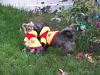 Autumn Days-zach-zoey-yogi-jackets.jpg