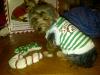 Ready for Christmas-jillian-christmas-outfit.jpg