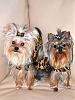 My Babies are 1 Years old-dsc_0114.jpg