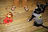 Batman and Robin-halloween1-small.jpg