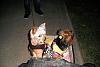 Izzy on  HaLlOweEn..-halloween-4.jpg