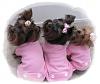 Pajama thread!!-img_0735.jpg