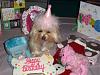 Happy 2nd Birthday...Lexi-b-day-3.jpg