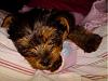 'New' old pictures of Lilly-0d19a0a1.jpg