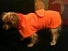Lizzy's "Sighthound" Coat-liz-coat-collar-down.jpg