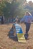 Jackson's Agility pictures-agility-nov-2010-265-.jpg