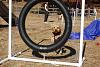 Jackson's Agility pictures-agility-nov-2010-135-.jpg