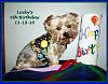 Happy Birthday Lucky!-11-19-luckys-6th-birthday-revised.jpg