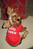 Santa paws t-shirt-006croppedresized.jpg