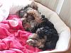 Show your babies then and now!-9-10-maya-snoozin-2.jpg