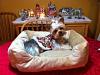My Bellas new Dress for Christmas-belly22.jpg