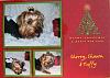 Tuffys' Christmas card...-tuffy-christmas-card.jpg
