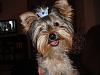 Whoops! Rizzo is 1!!!-dsc01484.jpg