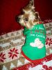 Catch up pics of my Fab Five-11-21-luckys-back-view-holiday-tshirt-resized.jpg