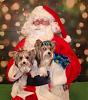 Catch up pics of my Fab Five-12-5-reggie-hannah-santa-resized.jpg