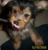 Let's see your tongue pictures!-h.jpg