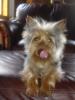 Let's see your tongue pictures!-mmm-good.jpg