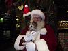 Bailey's New Year Pic-bailey-santa-little-file.jpg