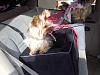 Jackie , Sadie, and Julie out for a ride-girls-car-seat.jpg