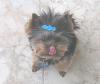 Let's see your tongue pictures!-kimmee-may-15-007.jpg