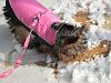 Layla's first venture in the snow!-snow9ex.jpg