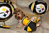 Steelers Cheerleader!!!!-img_4226.jpg