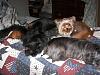 At Home With The Family-chloe-punky-zach-zoe-large.jpg