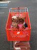 Shopping @ Home Depot-jack-josie-hd.jpg