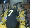 Steelers Cheerleader!!!!-180301_1728664170109_1043580355_1930188_470576_n.jpg