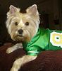 Rily is ready for the Super Bowl-gopackers.jpg