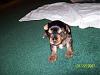4 weeks old today!-pics-157.jpg