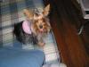 Let's see your tongue pictures!-testlexie.jpg