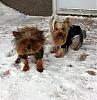 Another snow day for the boys.-199643_10150172706508033_728248032_8349411_2399099_n.jpg