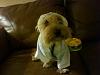 Mango's new bath robe-afterbath.jpg