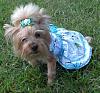 Darcy in her Easter Dress-cimg3645.jpg