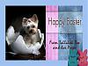 Tallulah Wishes Everyone a Happy Easter!-tallulah-easter200k.jpg