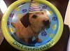 Presto's Birthday Pics-plates.jpg
