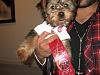 Puppy Kindergarten Grad!-ribbon1.jpg